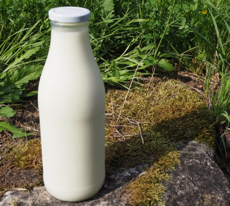 Rohmilch in der Flasche bio bauern.laden.ein